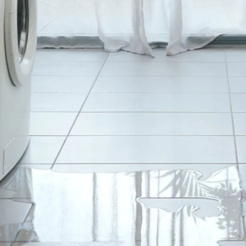 Appliance Leak Cleanup in Pelican Bay, TX