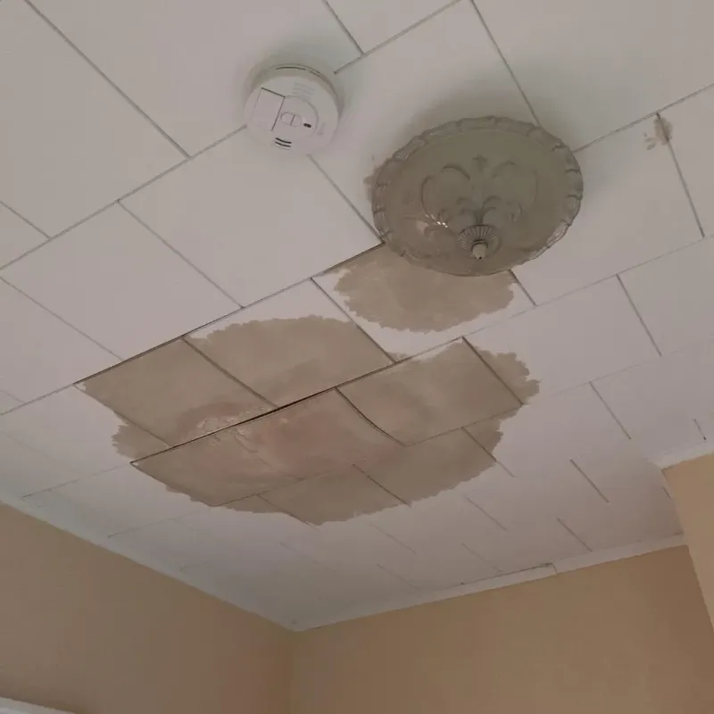 Ceiling Water Damage Repair in Pelican Bay, TX